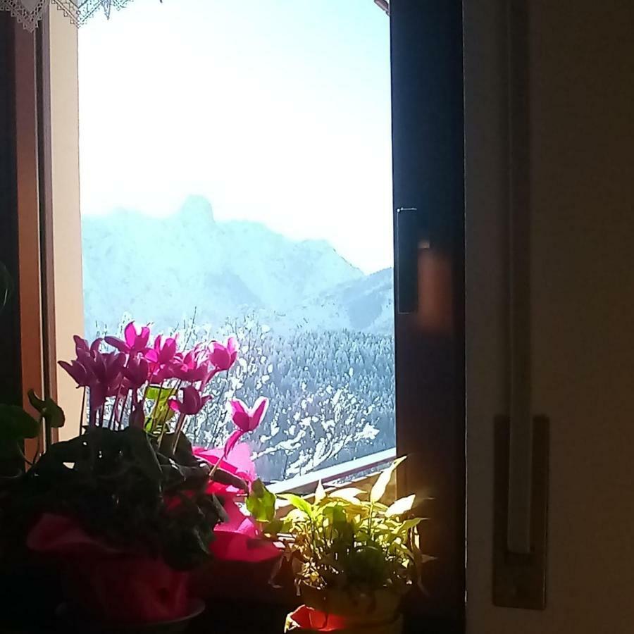Ferienwohnung Da Nicola E Laura Santo Stefano Di Cadore Exterior foto